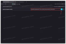 Enable-the-The-Firefox-100-user-agent-string-3.png