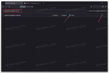 Enable-the-The-Firefox-100-user-agent-string-2.png