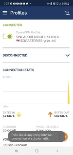 Screenshot_20210924-193923_OpenVPN Connect.webp