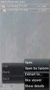 10_Extract_Installserver.webp