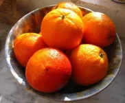 108016302_64bbfdfbe2_o-730x603.webp