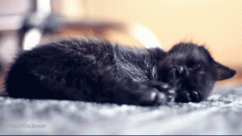 Unstable-sleeping-hour-300x169.gif