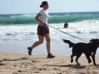 2461157879_1d3a3ab352_z.webp 2461157879_1d3a3ab352_z.webp