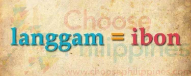 09-langgam-ibon.webp 09-langgam-ibon.webp