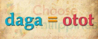 07-daga-otot.webp 07-daga-otot.webp