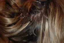 image0055.webp