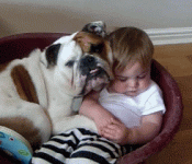 gastos-free-stress-relief-03-nap.gif gastos-free-stress-relief-03-nap.gif