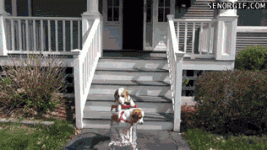 gastos-free-stress-relief-09-walk.gif gastos-free-stress-relief-09-walk.gif