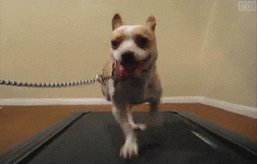 gastos-free-stress-relief-07-exercise.gif gastos-free-stress-relief-07-exercise.gif