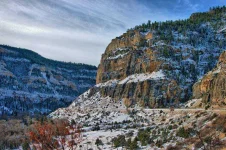 big-horn-forest-940x626.webp big-horn-forest-940x626.webp