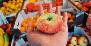 2010_travel_healthy.webp 2010_travel_healthy.webp