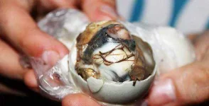 1873_Balut_Metro_Manila.webp