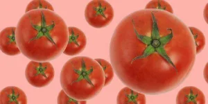 15-facts-about-tomatoes-696x348.webp 15-facts-about-tomatoes-696x348.webp