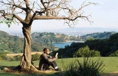 a-thousand-words-730x470.webp a-thousand-words-730x470.webp