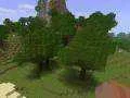 0843873001299743208.webp 0843873001299743208.webp