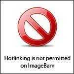 Untitled-1.webp