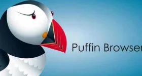 Lead_Image_Puffin-709x381.webp