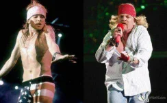 80_axl2.webp 80_axl2.webp