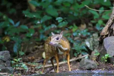 iStock_82119153_SMALL.webp iStock_82119153_SMALL.webp