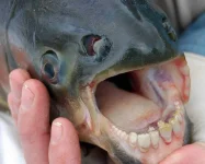 creepy-facts-5-1024x823.webp