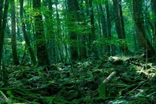 creepy-facts-13-1024x683.webp