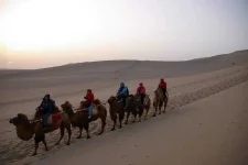 camel-ride-in-the-gobi-desert_11.webp camel-ride-in-the-gobi-desert_11.webp
