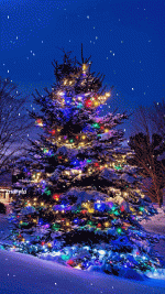 christmas-tree-animated-gif-32.gif christmas-tree-animated-gif-32.gif