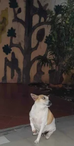 IMG_20210927_192214.webp