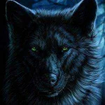 Black-Wolf-Wallpapers-300x300.jpg Black-Wolf-Wallpapers-300x300.jpg