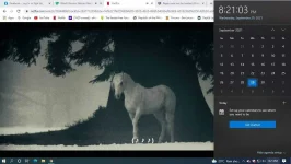 ty1.webp
