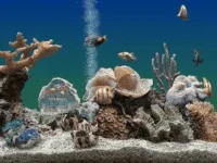 marine-aquarium-v3.2-main-view.png