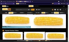 corn.webp corn.webp