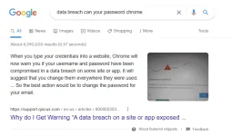 1633053990577.webp 1633053990577.webp