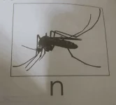 c_ohc=sqwZhMwnw7EAX90QeEW&_nc_ht=scontent.fmnl30-1.webp