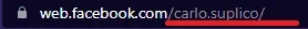 11.webp