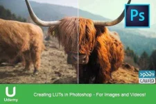 luts.webp luts.webp