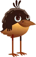 brown.webp