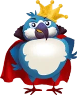 king-bird.webp
