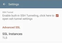 Screenshot_20211003-094800_KPNTunnel Rev.webp