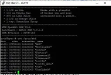 R281 SV4.1_BB2.2.webp