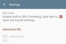 Screenshot_20211003-105526_KPNTunnel Rev.webp