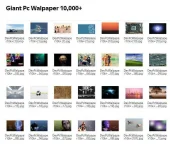 wallpaper2.webp