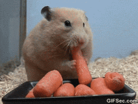 200.gif