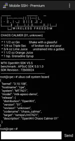 Screenshot_20211006-120815_Mobile SSH - ρrémíùm.webp