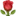1f339.webp