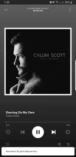 Screenshot_20211007-134035_Spotify.webp