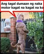 c_ohc=7fKxx_jea90AX-DQaVj&_nc_ht=scontent.fmnl17-2.webp