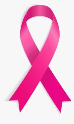 transparent-pink-ribbon-banner-png-clip-art-******.webp