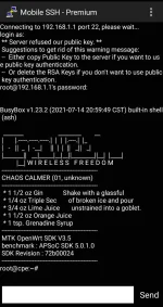 Screenshot_20211008-193944_Mobile SSH - ρrémíùm.webp