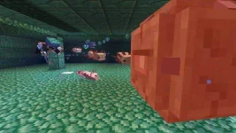minecraft-caves-and-cliffs-axolotls-900x506.webp minecraft-caves-and-cliffs-axolotls-900x506.webp